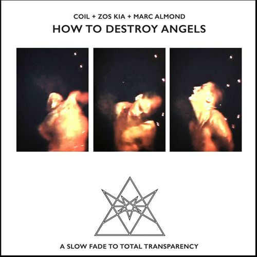 How to Destroy Angels [Cold Spring] cover art