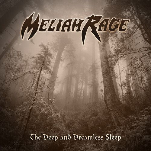 Deep and Dreamless Sleep cover art