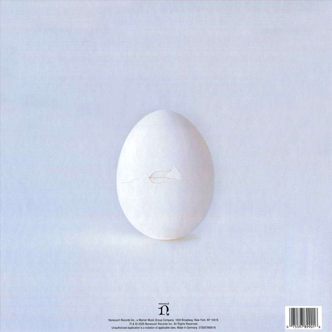 Ghost Is Born cover art