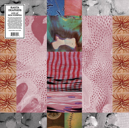 Live at Sesc Pompeia [LP] cover art