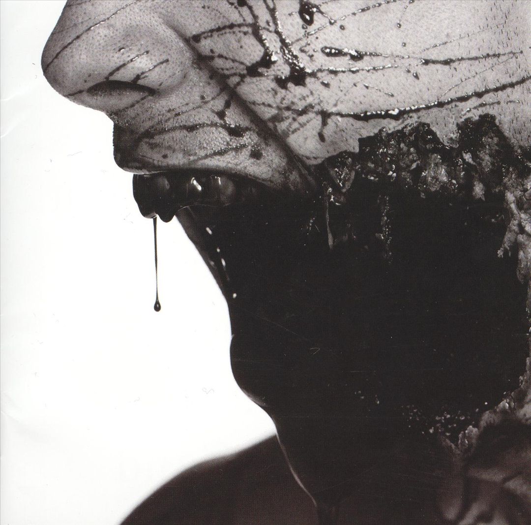 The Truth [Bonus CD] cover art