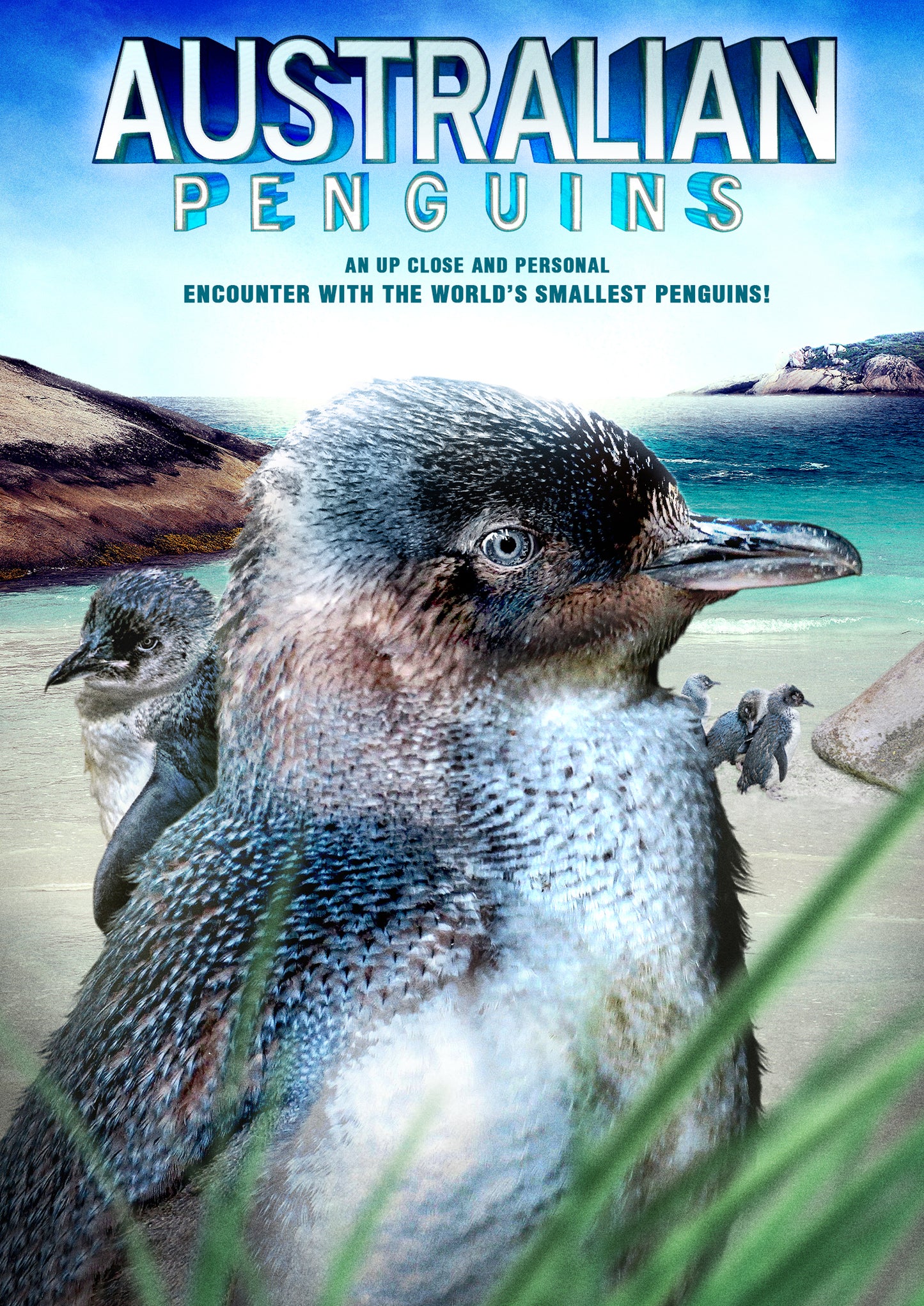 Australian Penguins cover art