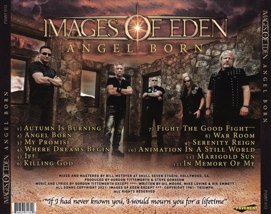 Angel Born cover art