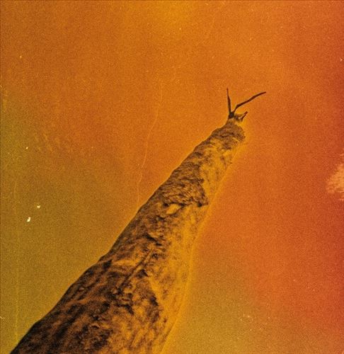 Sihr cover art