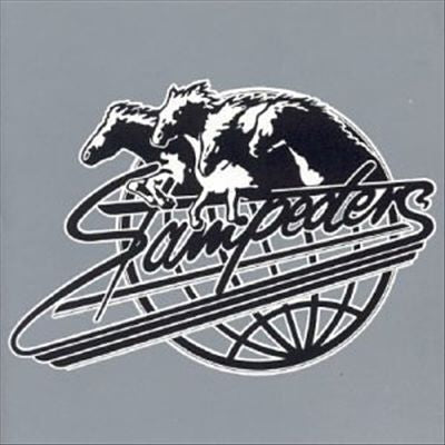 Platinum cover art
