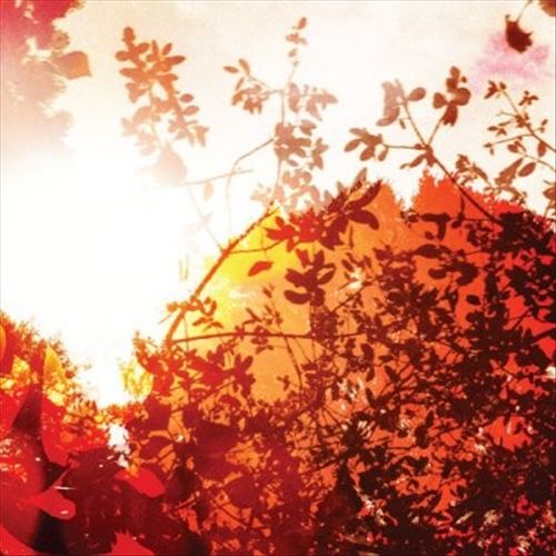 All is Forgiven cover art