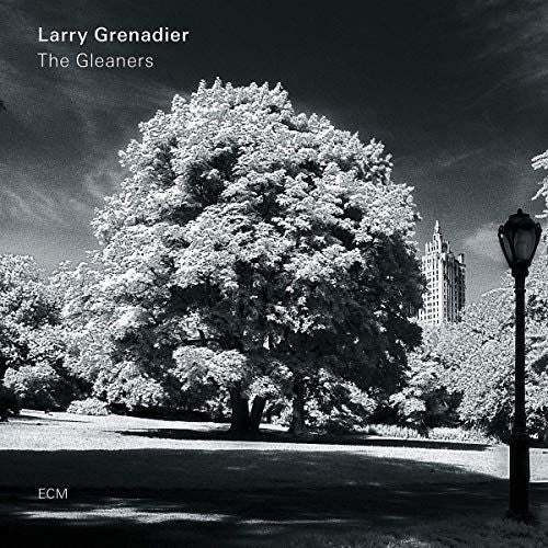 Gleaners cover art