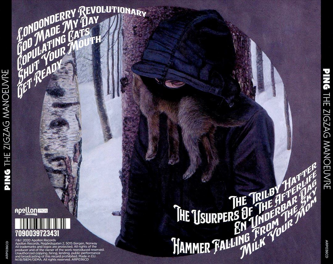 Zig Zag Manoeuvre cover art