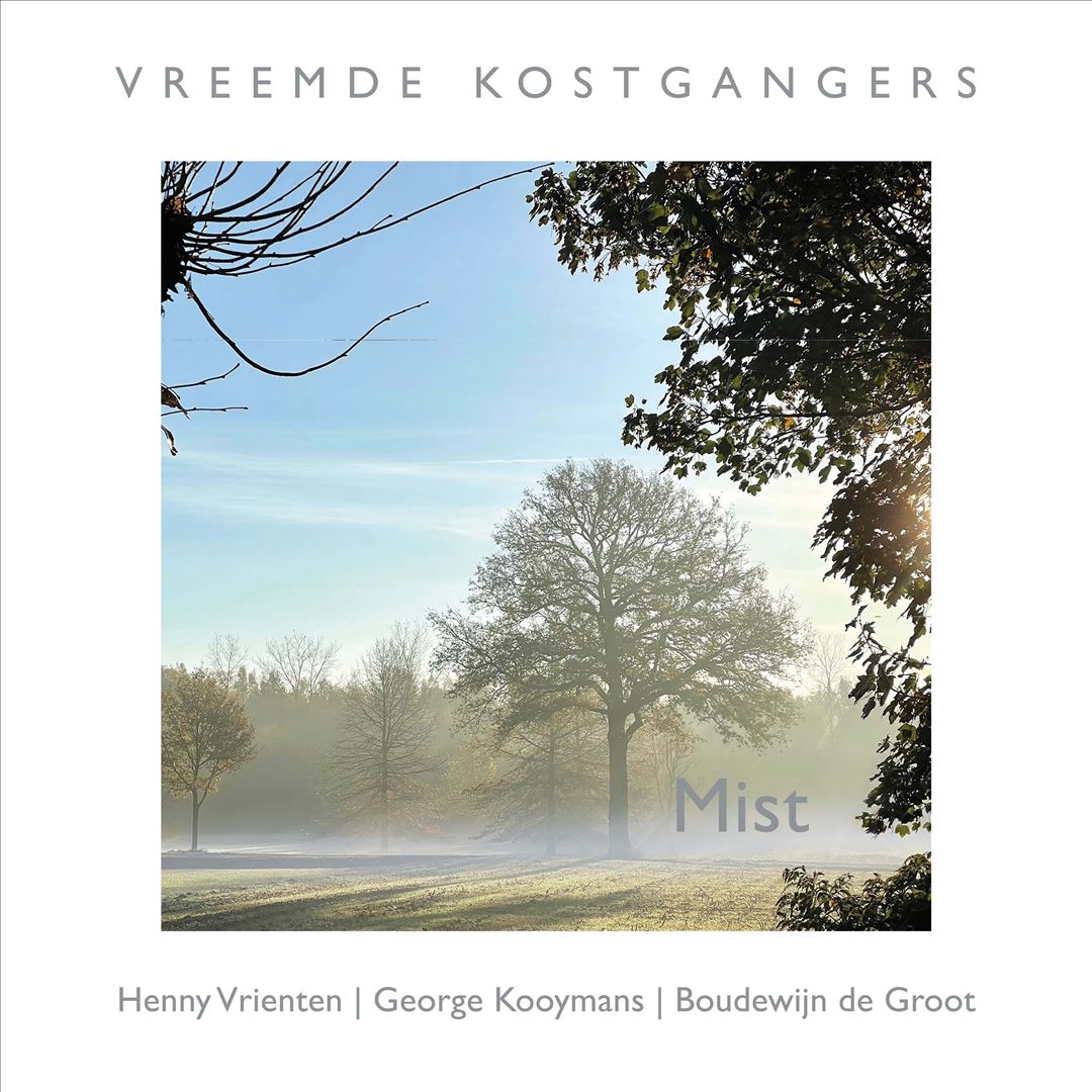 Mist cover art