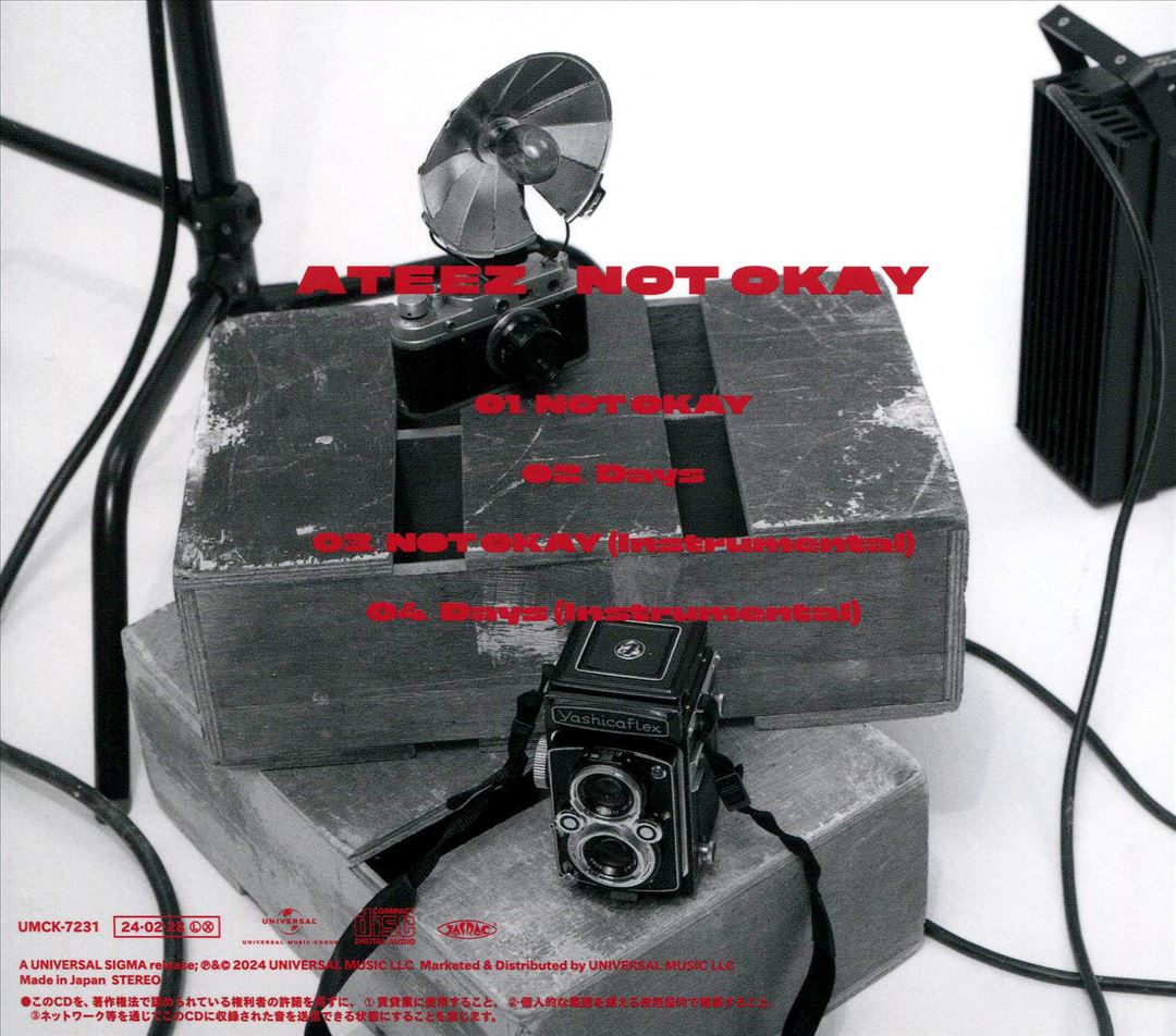 Not Okay cover art