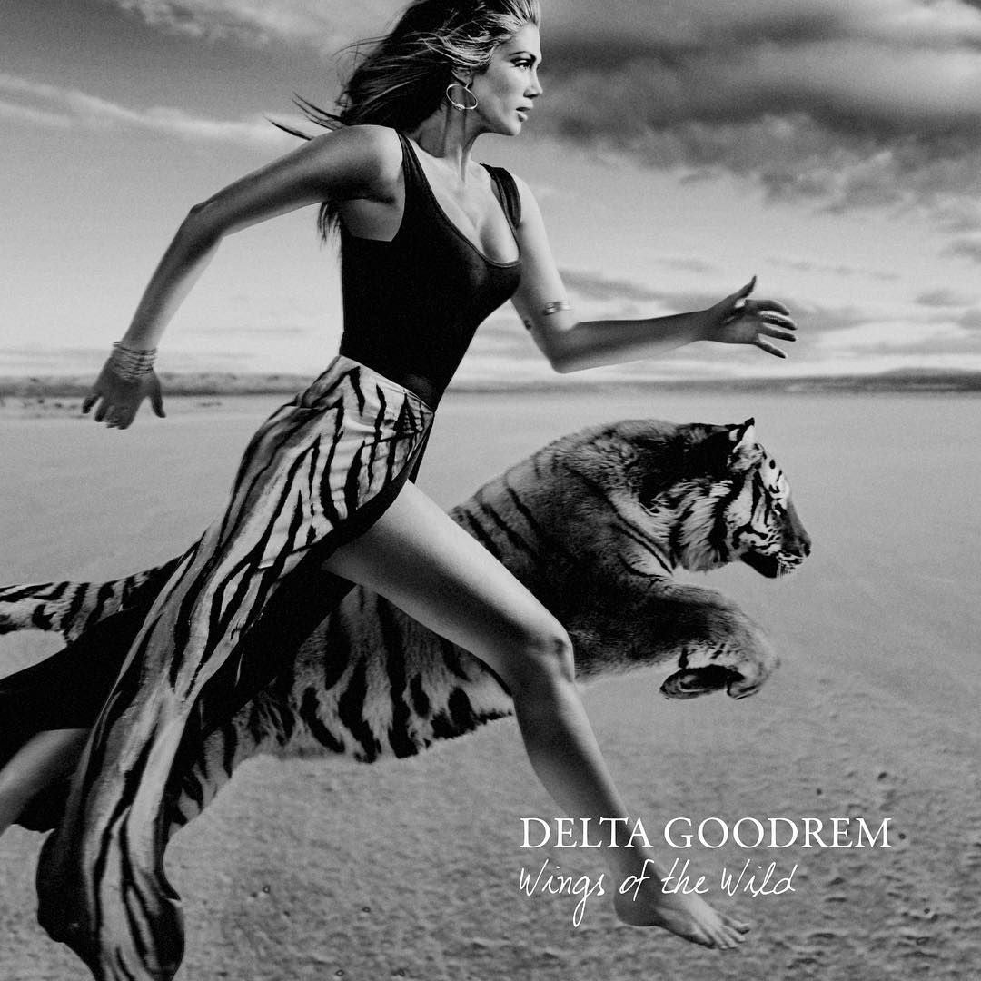 Wings of the Wild cover art