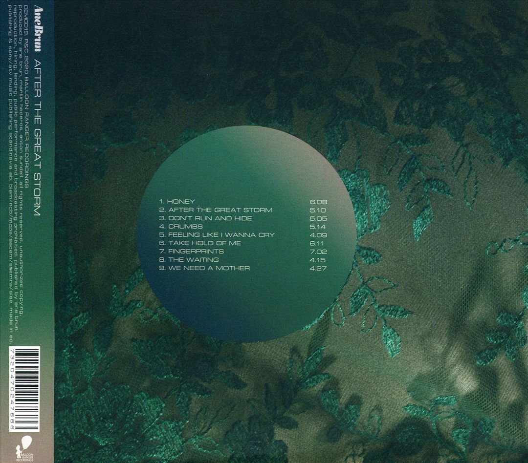 After the Great Storm cover art