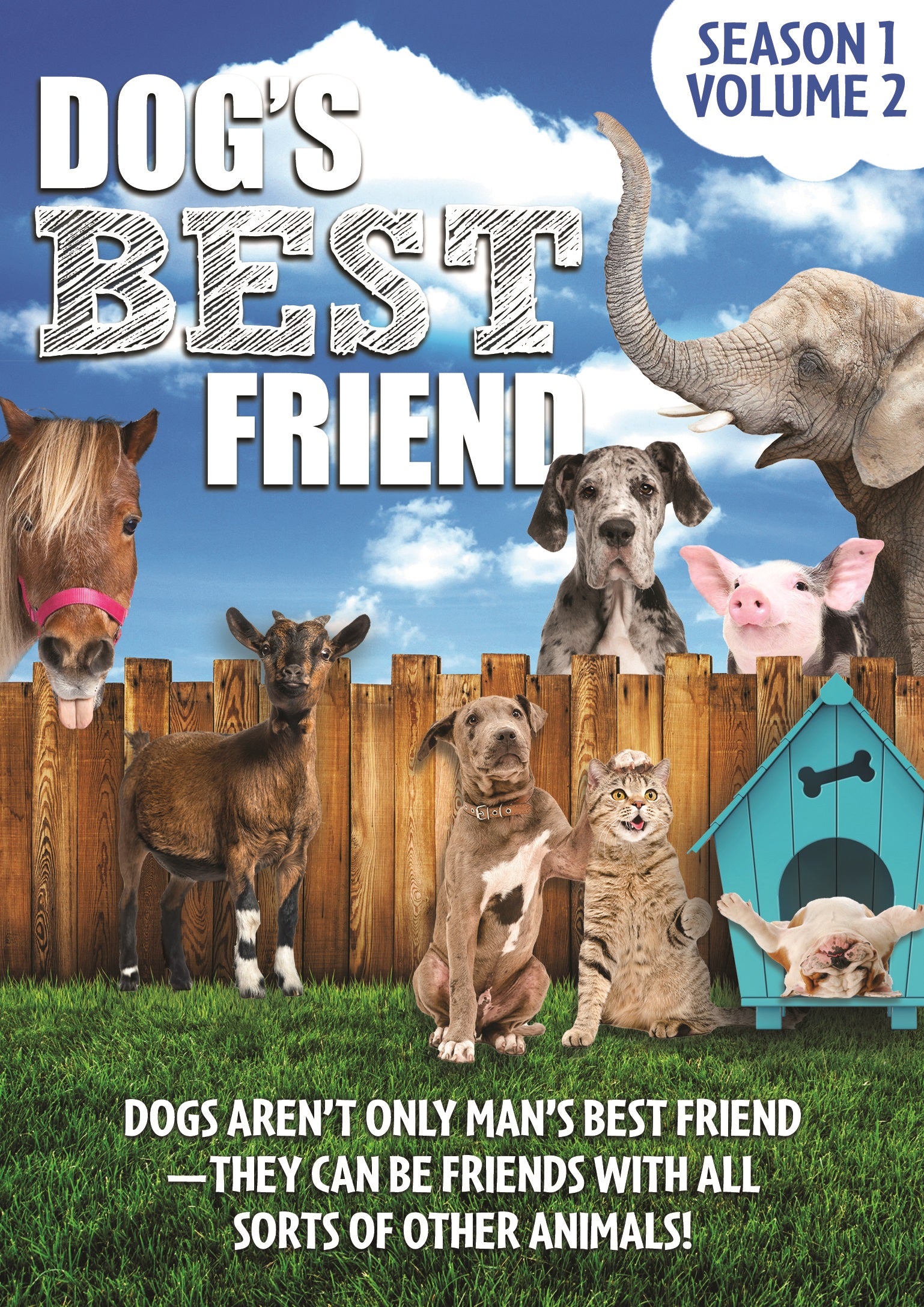 Dog's Best Friend: Season 1 - Volume 2 cover art