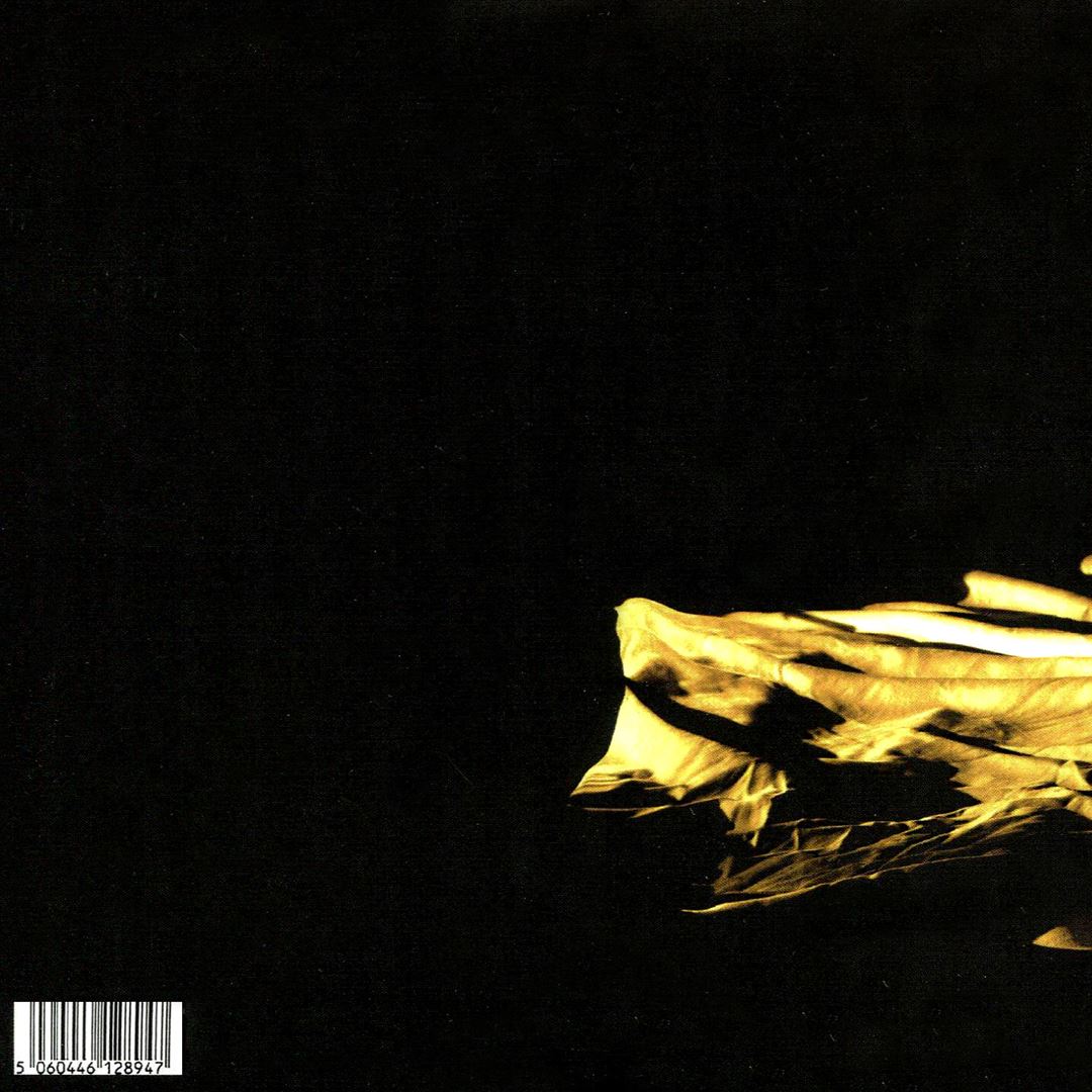 Lieve cover art