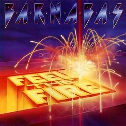 Feel the Fire cover art