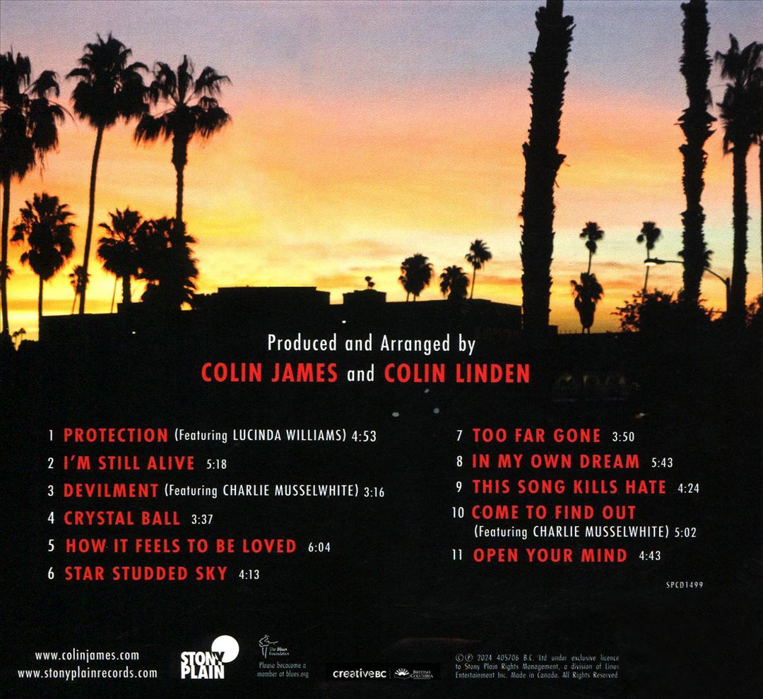 Chasing the Sun cover art
