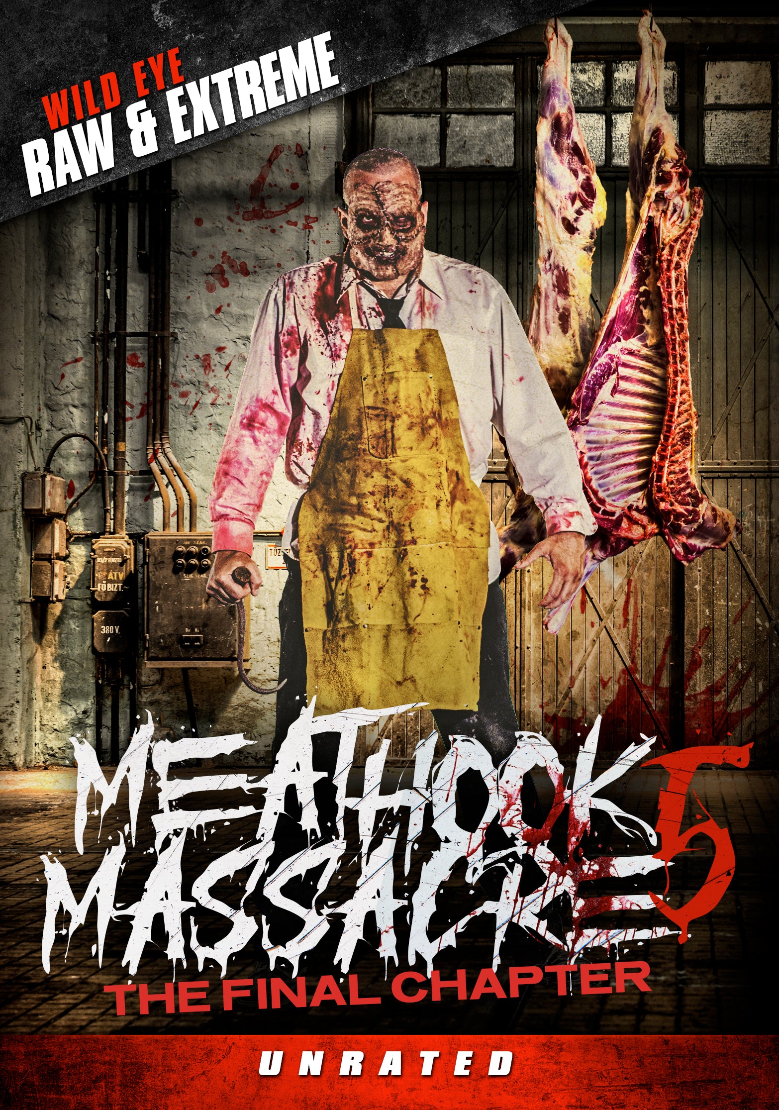 Meathook Massacre 5: The Final Chapter cover art