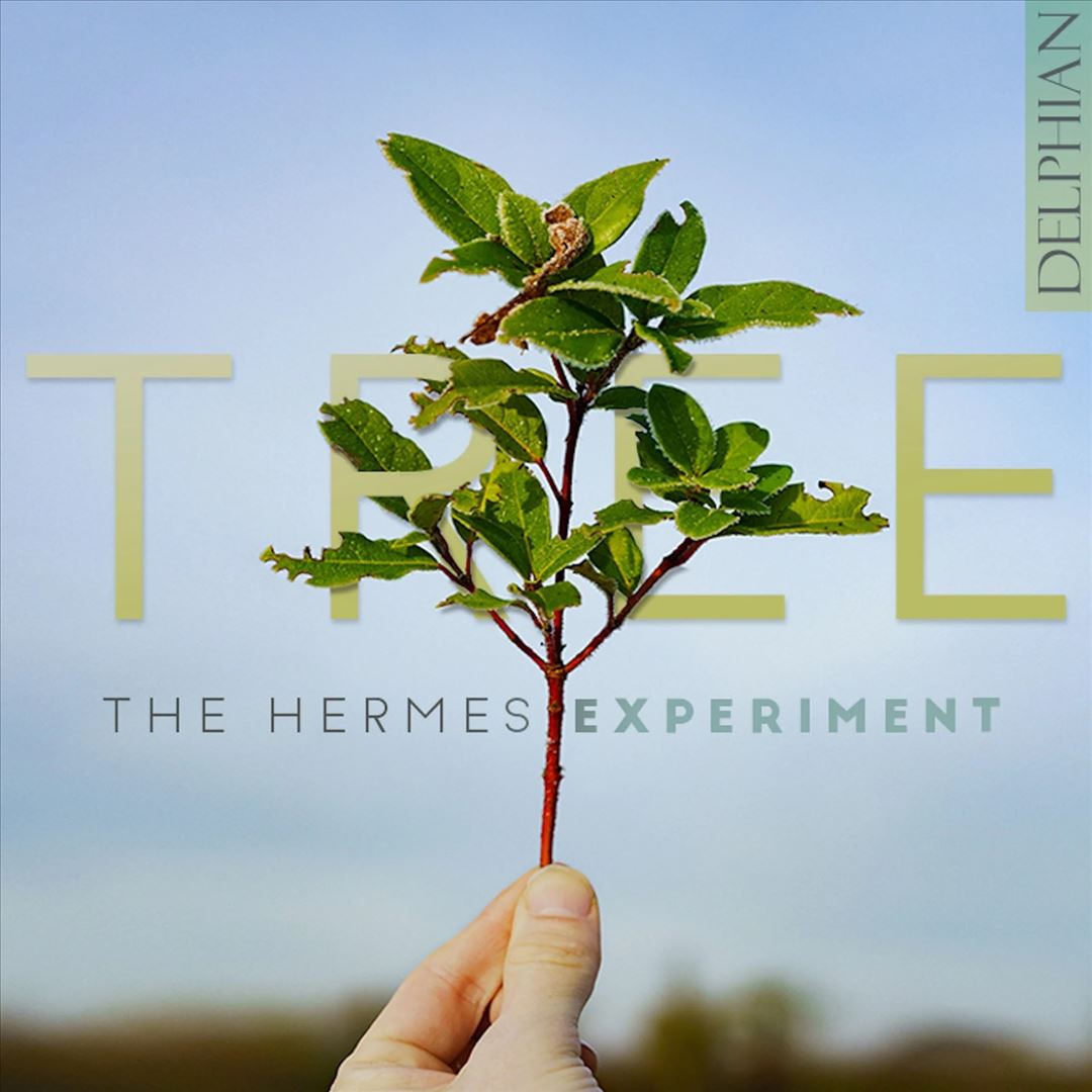 Tree cover art