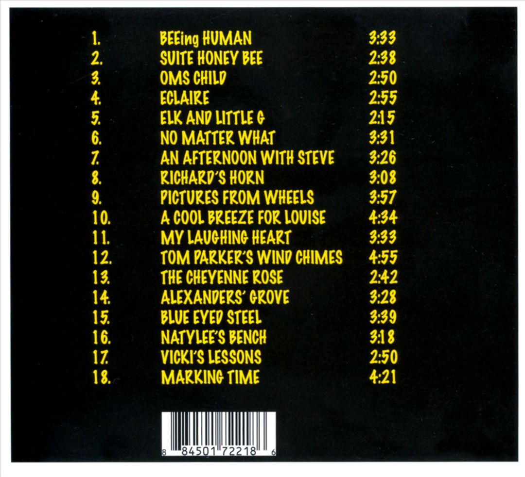 Beeing Human cover art