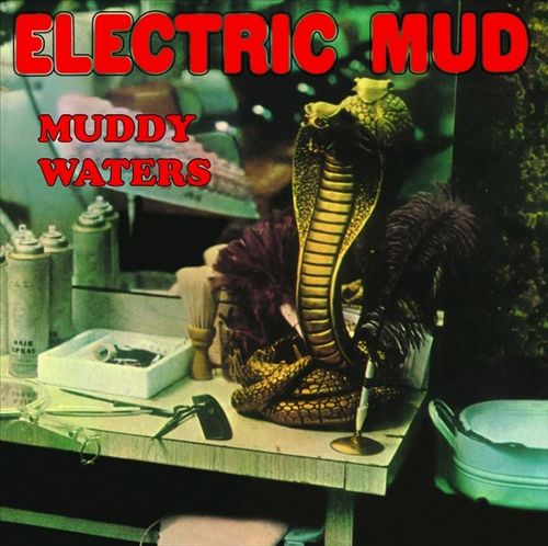 Electric Mud cover art