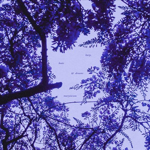 Harp Beats & Dreams cover art
