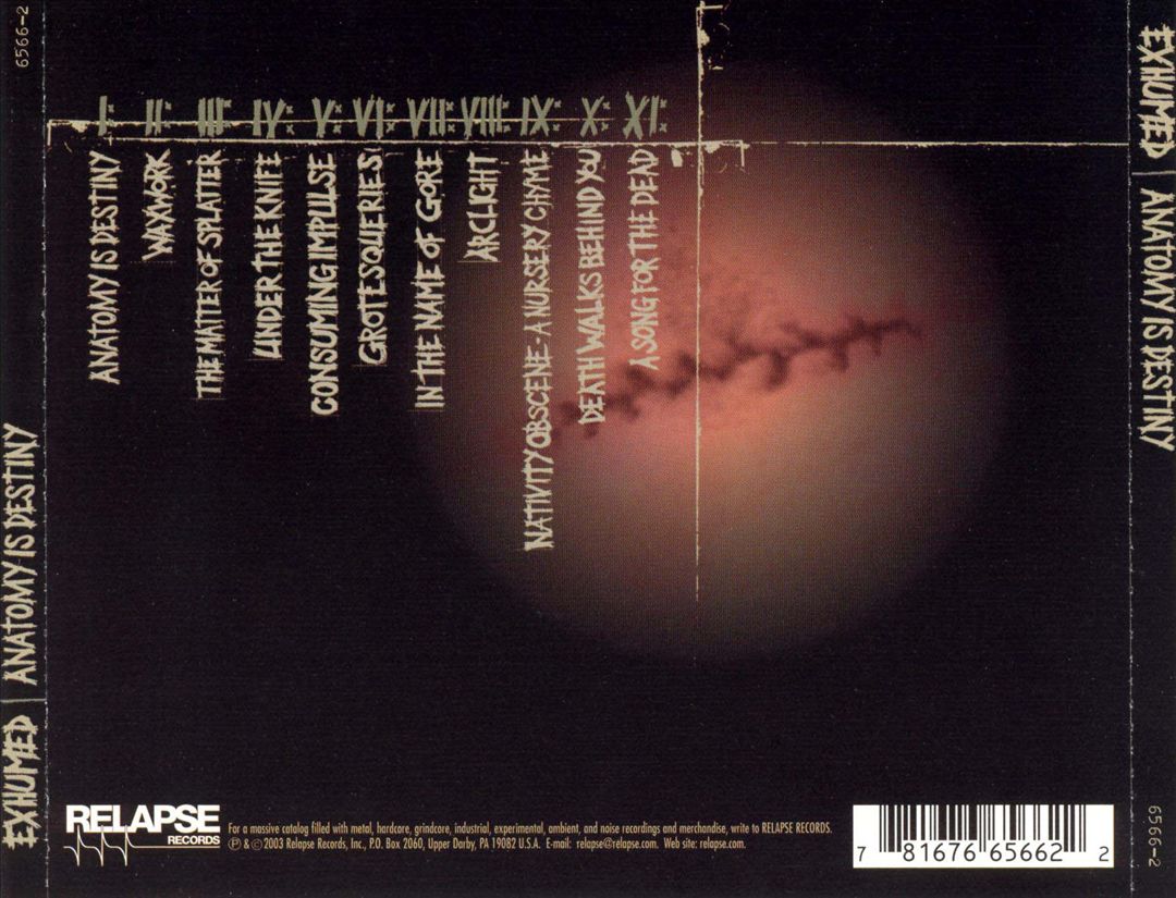 Anatomy Is Destiny cover art