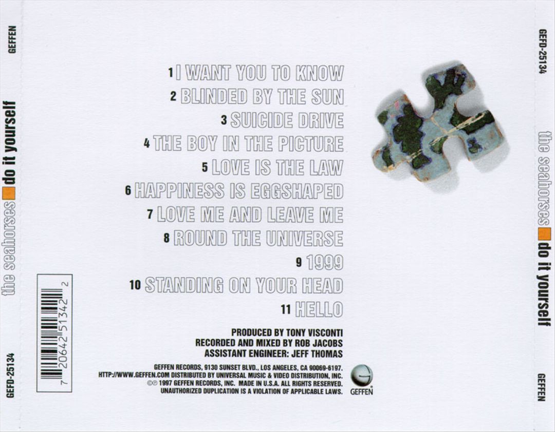 Do It Yourself cover art