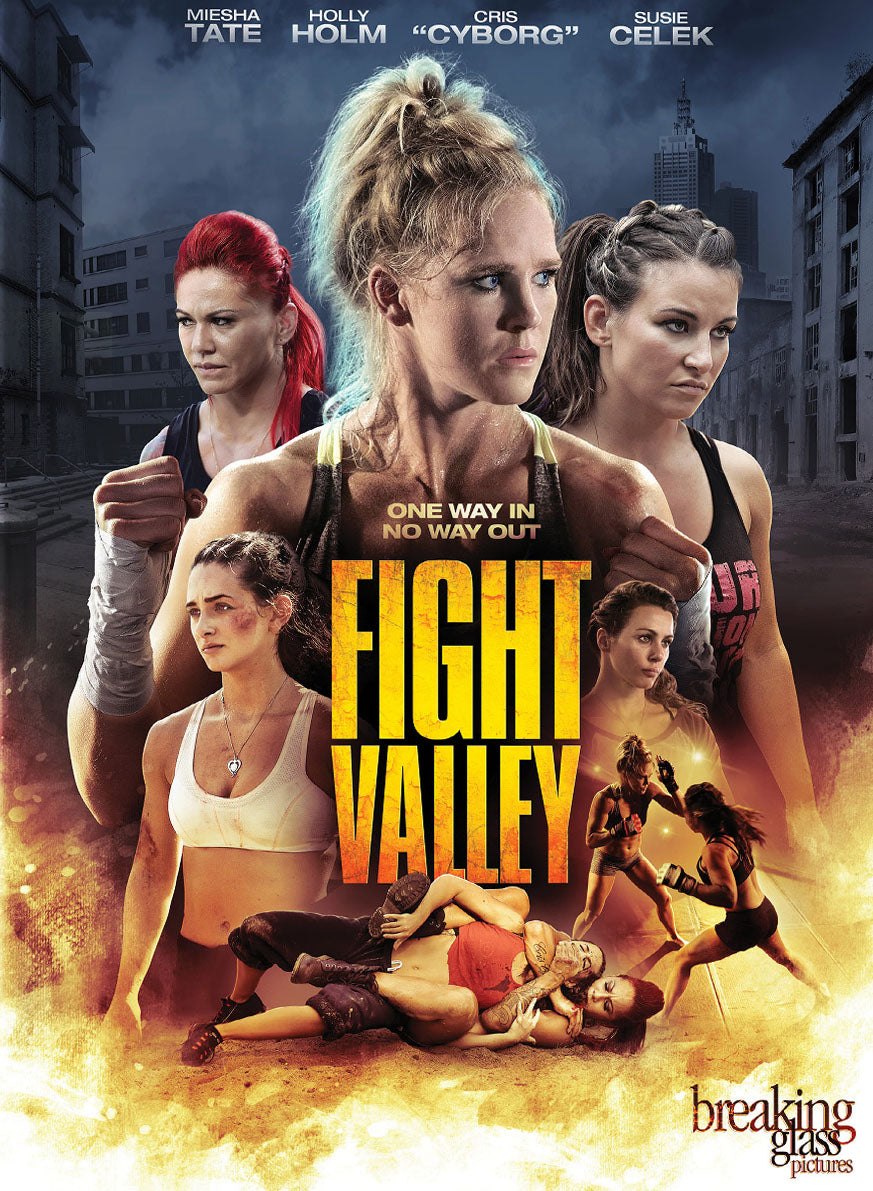 Fight Valley cover art