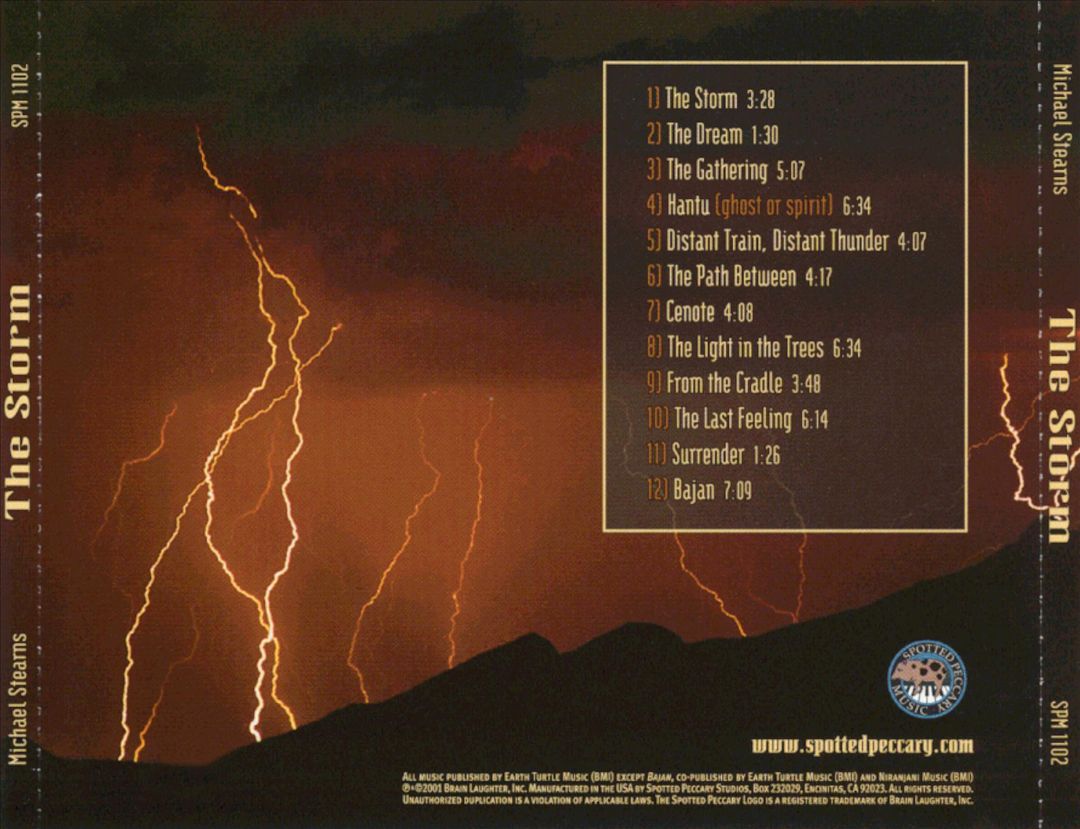 Storm cover art