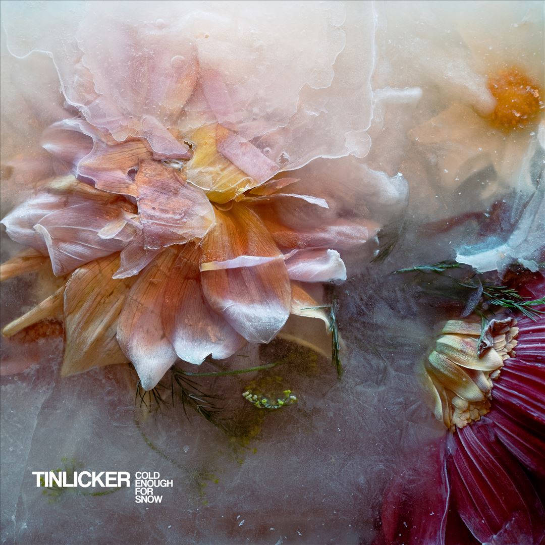 Cold Enough for Snow cover art