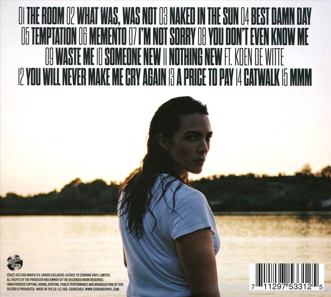 Nowhere Near the Sky cover art