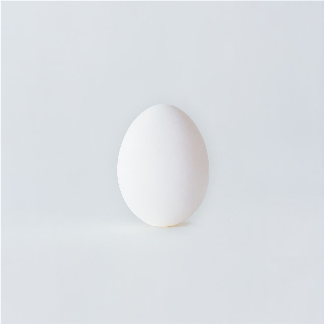 Ghost Is Born cover art