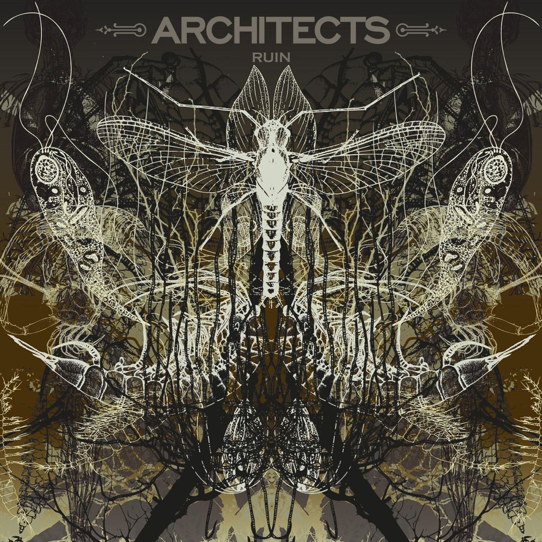 Ruin cover art