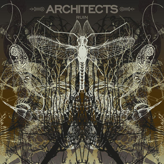 Ruin cover art