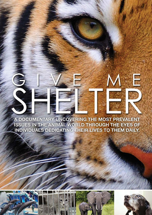 Give Me Shelter cover art