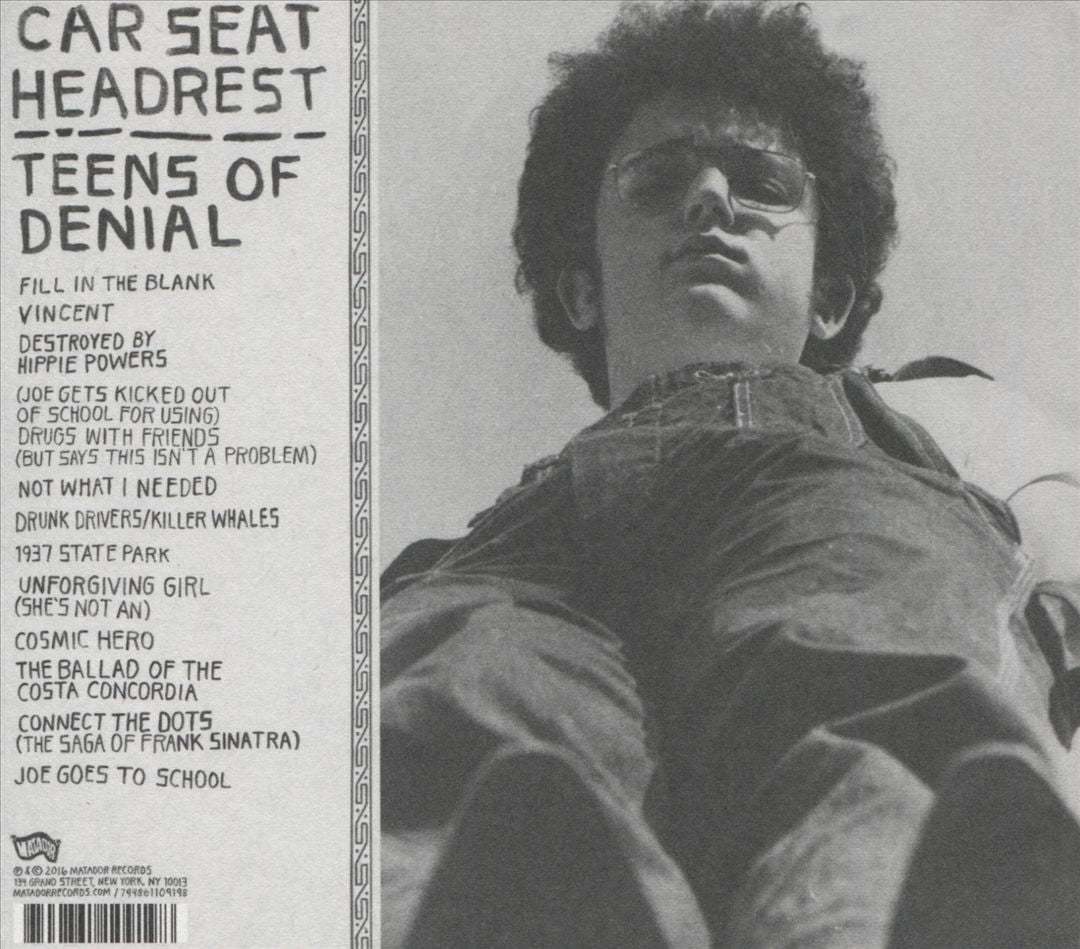 Teens of Denial cover art