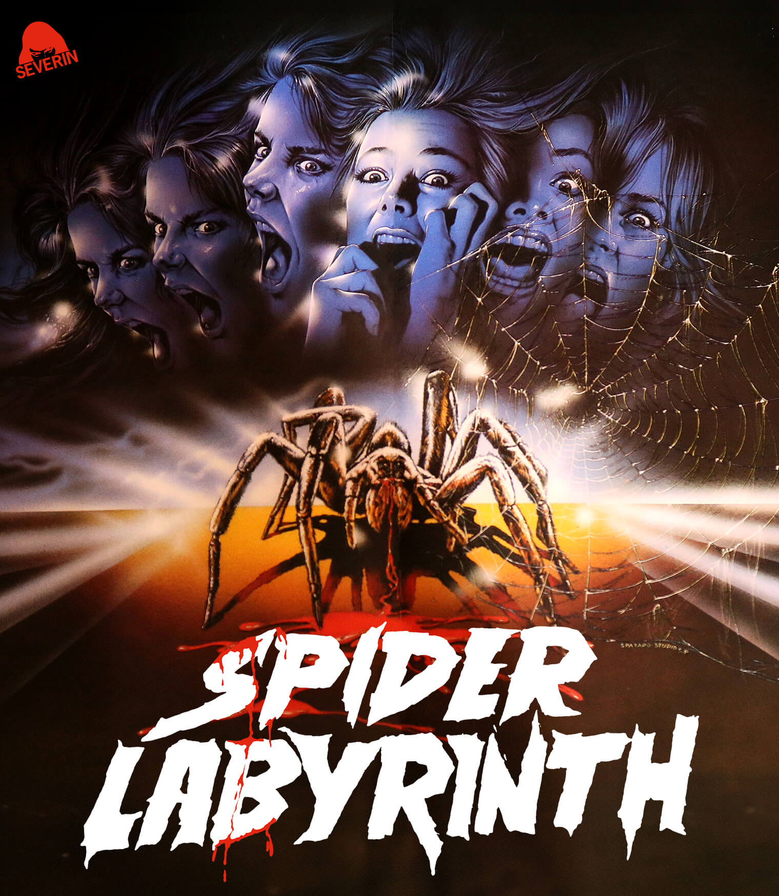 Spider Labyrinth [Blu-ray] cover art