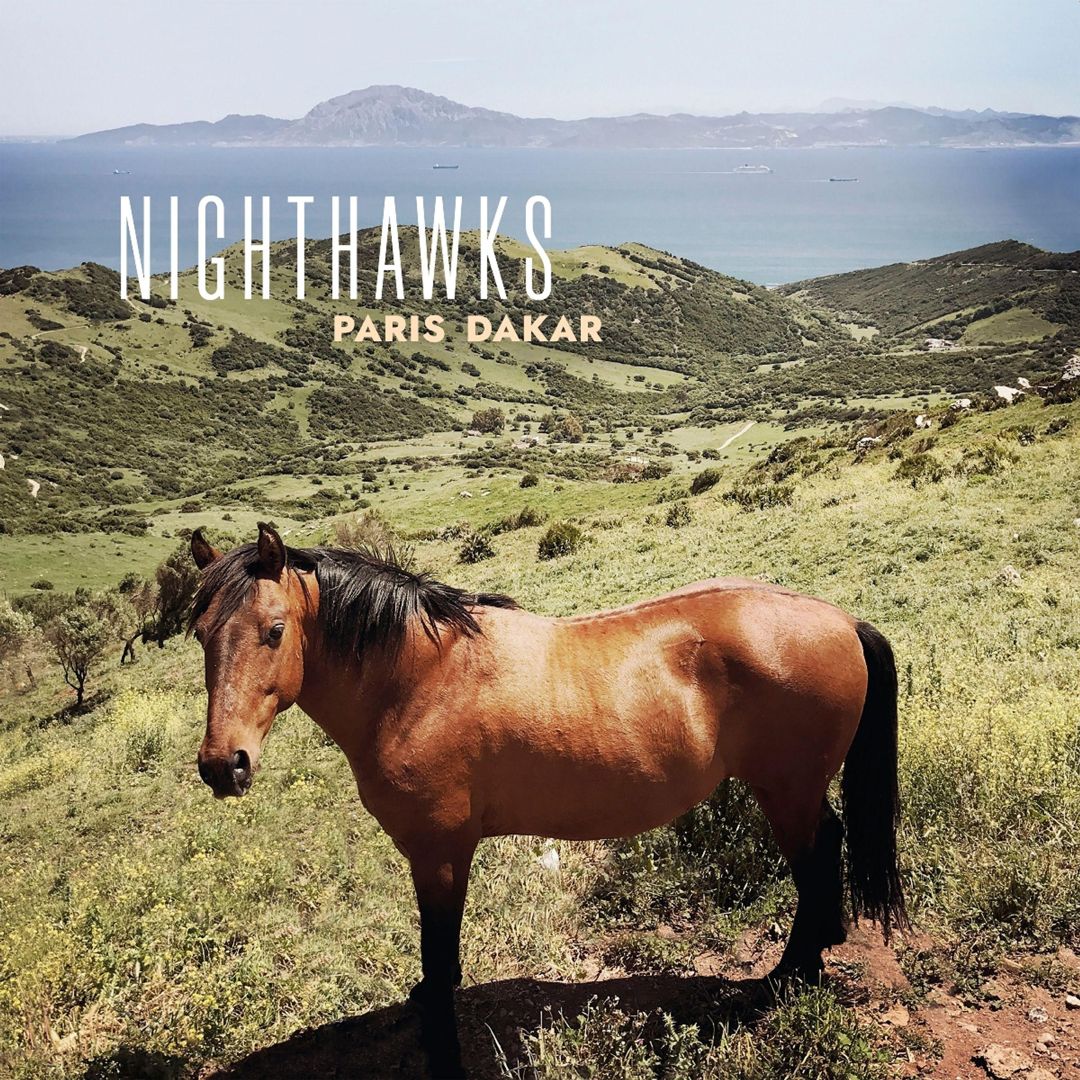 Paris Dakar cover art