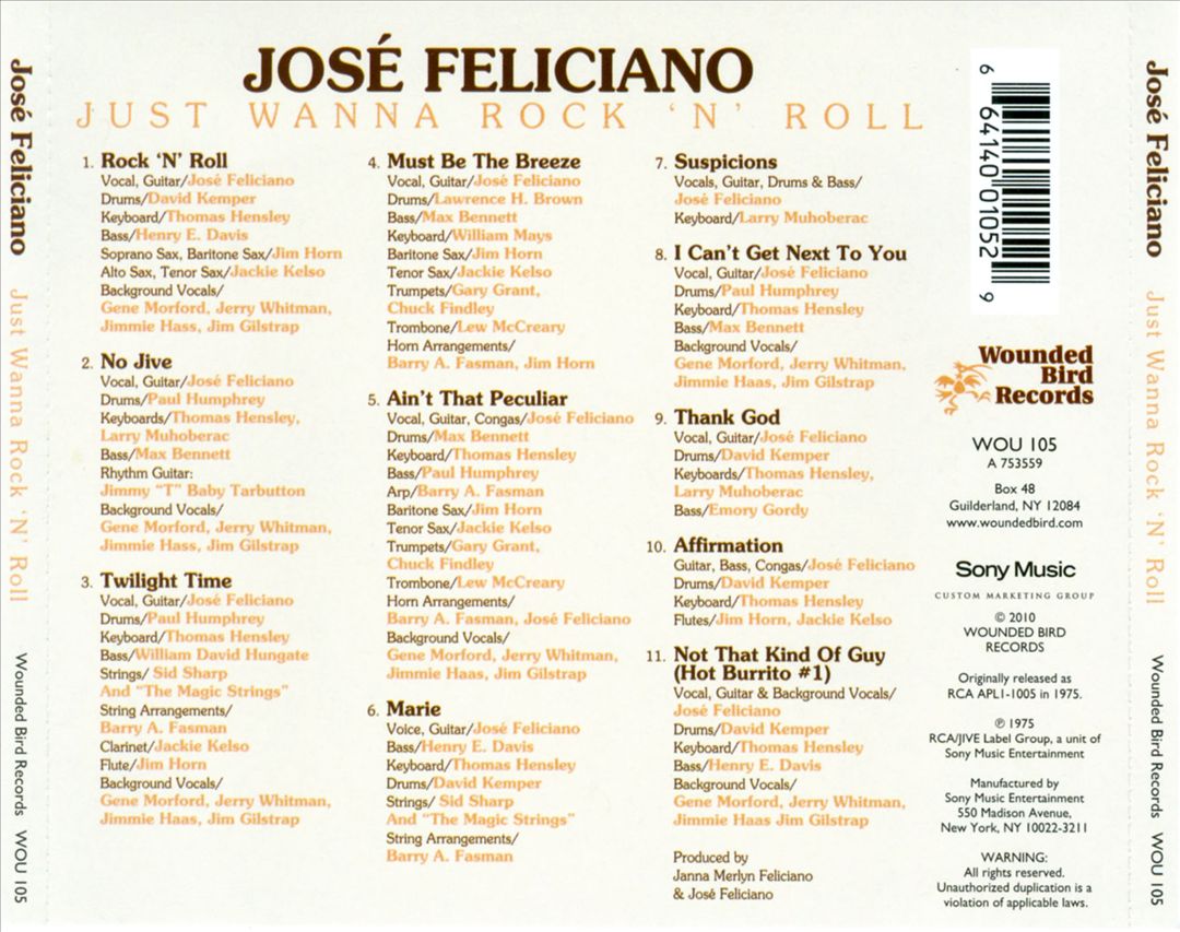 Just Wanna Rock 'n' Roll cover art