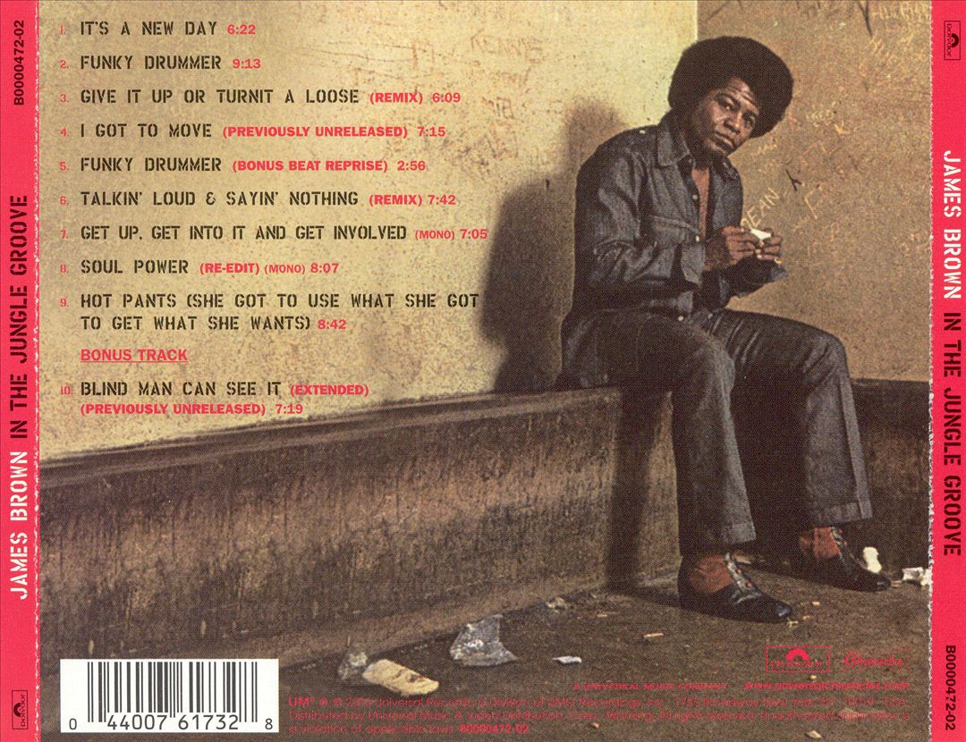 In the Jungle Groove [Bonus Track] cover art