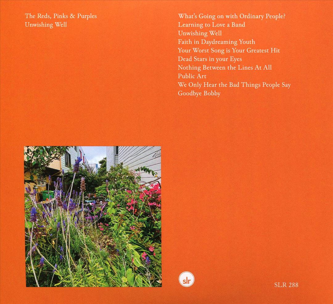 Unwishing Well cover art