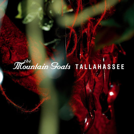 Tallahassee cover art