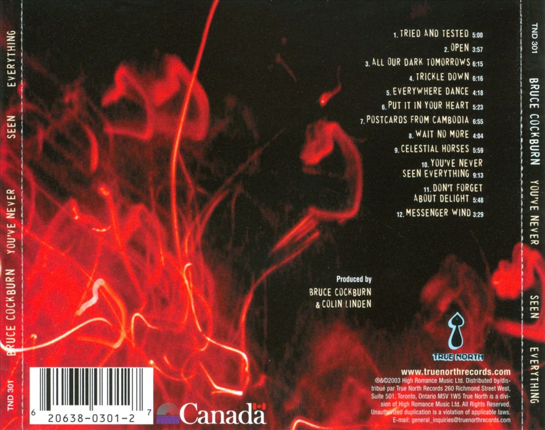 You've Never Seen Everything cover art