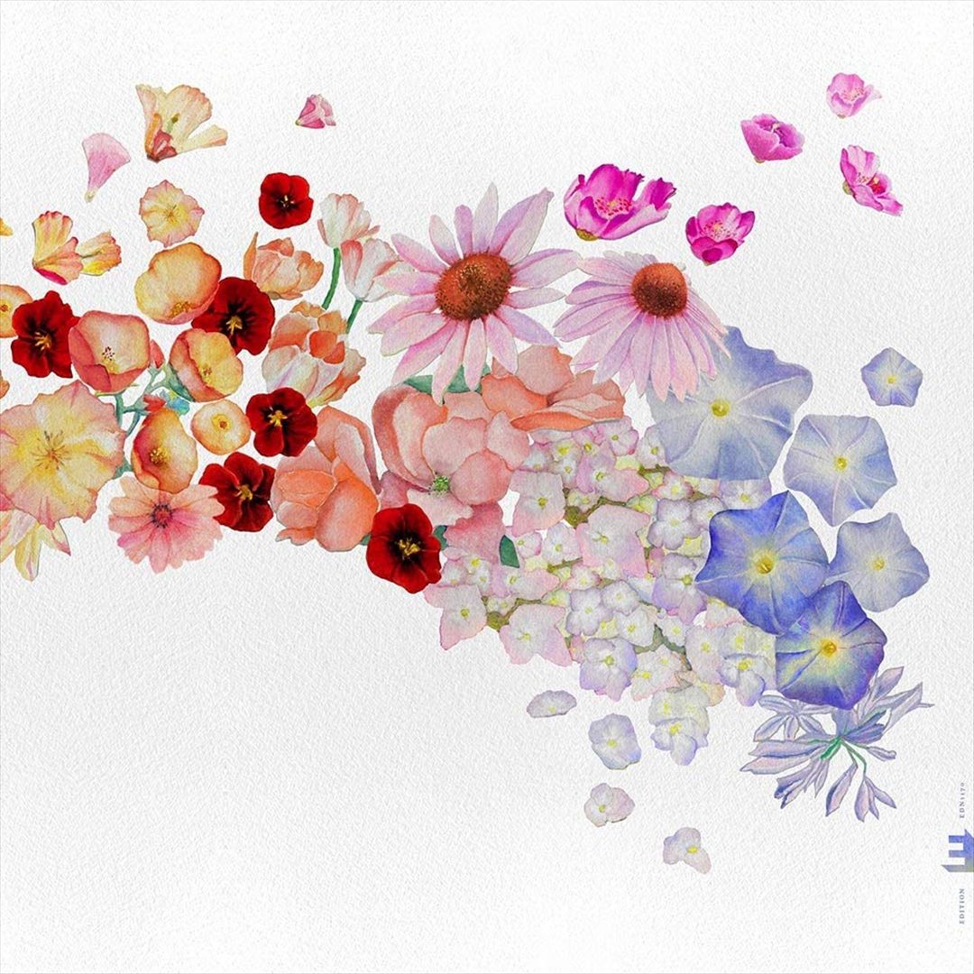 Flor cover art