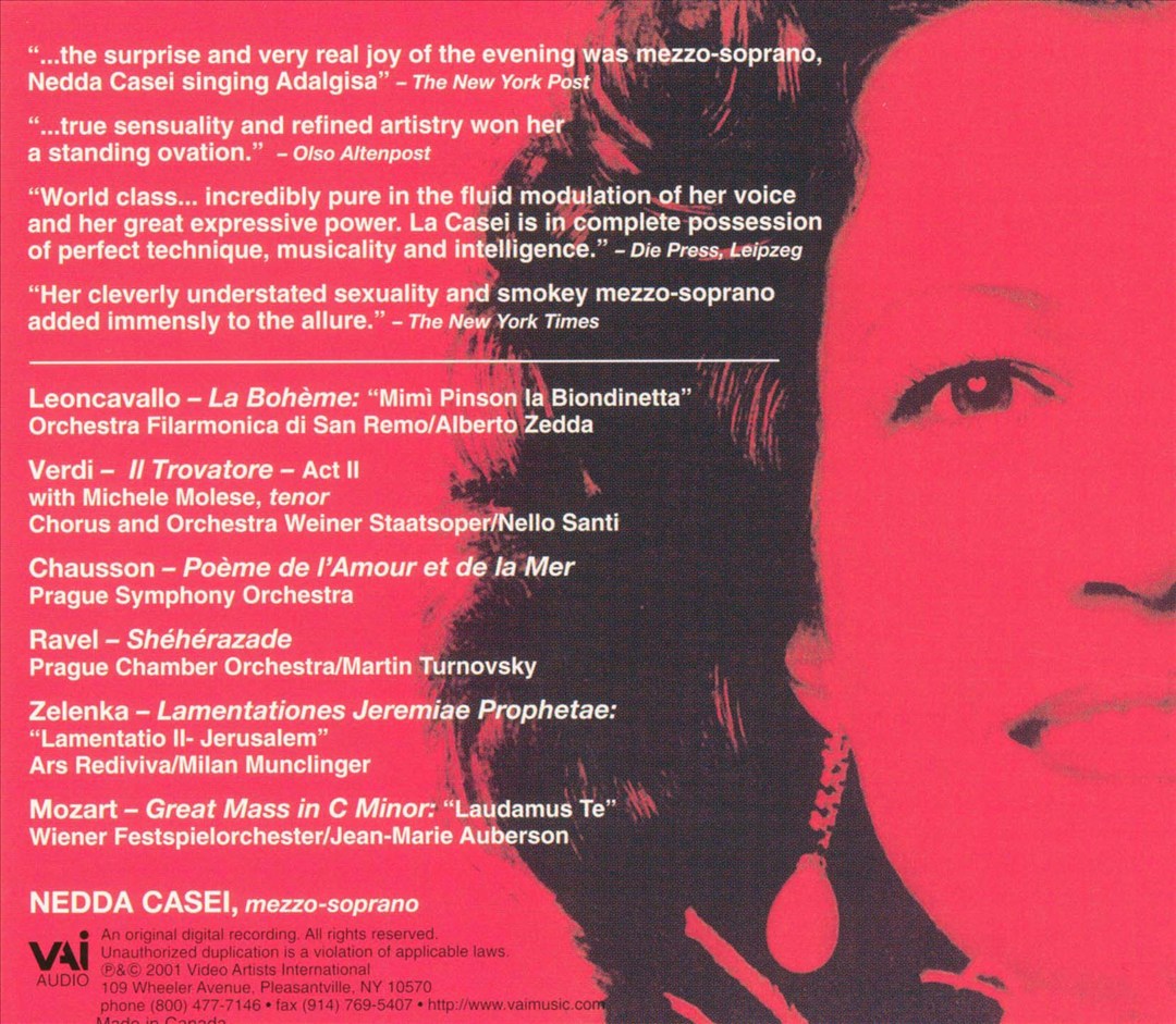 Portrait cover art