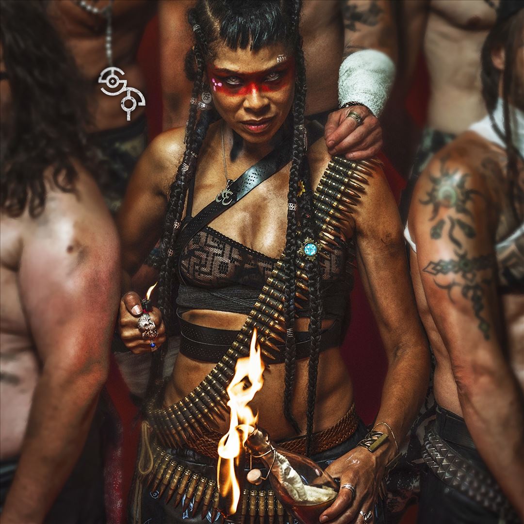 Shaka Ponk cover art