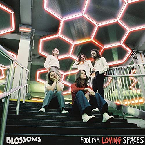 Foolish Loving Spaces cover art