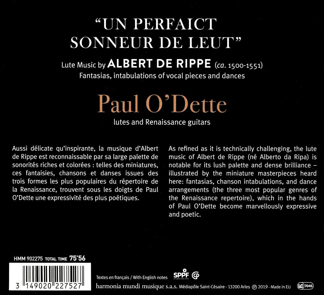 Albert de Rippe: Un Perfaict Sonneur de Leut cover art