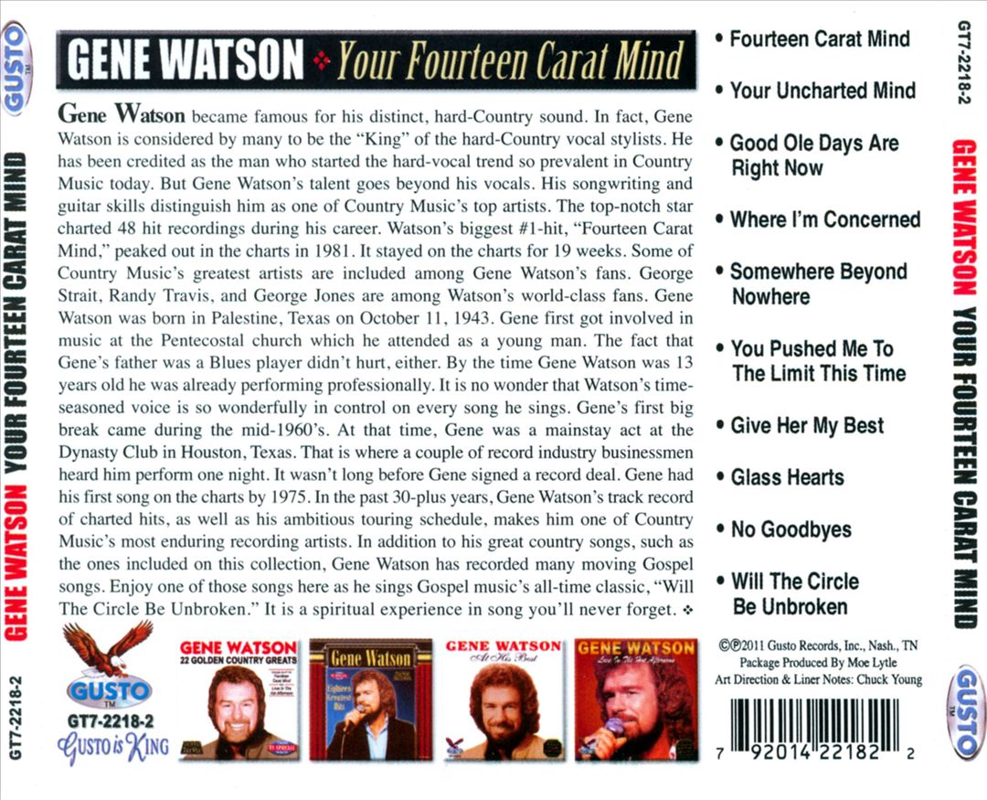 Your Fourteen Carat Mind cover art
