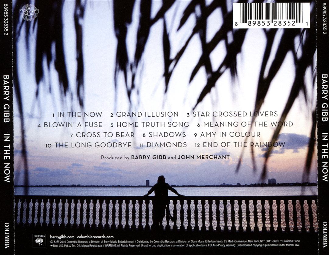 In the Now cover art